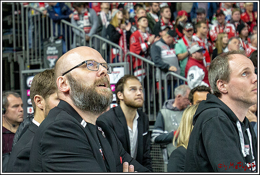 DEL; Koelner Haie - Adler Mannheim, 09.04.2019